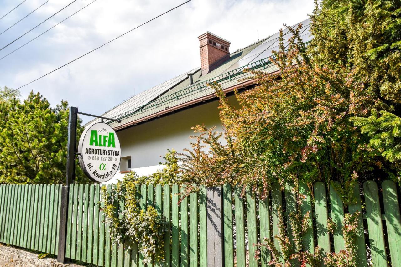 Bystra  Agroturystyka Alfa מראה חיצוני תמונה